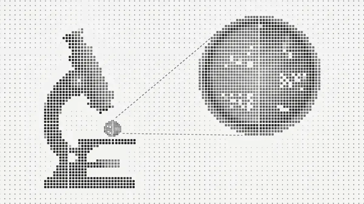 5 Best B2C Website Visitor Identification Tools in 2026